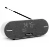 Technisat DigitRadio BT 2 Hellgrau (0001/3973)