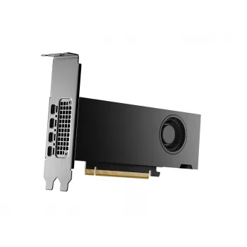 PNY NVIDIA RTX 2000 Ada Generation 16 GB Low Profile, PCIe 4.0 x16, Dual Slot, 4x Mini DP 1.4a, 16 GB GDDR6 ECC 128-Bit, HDCP 2.2, HDMI 2.0, Small Box