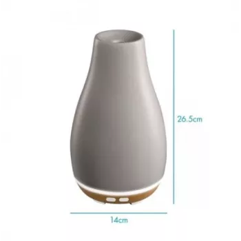 Ellia ARM-510GYA-WWX Blossom Ultraschall-Diffusor mit stimmungsvoller Ambientebeleuchtung