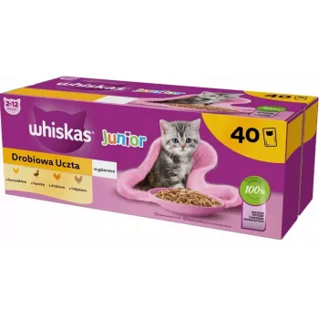 Nassfutter für Katzen Whiskas Junior Geflügel in Gelee 40 x 85 g — für Kätzchen