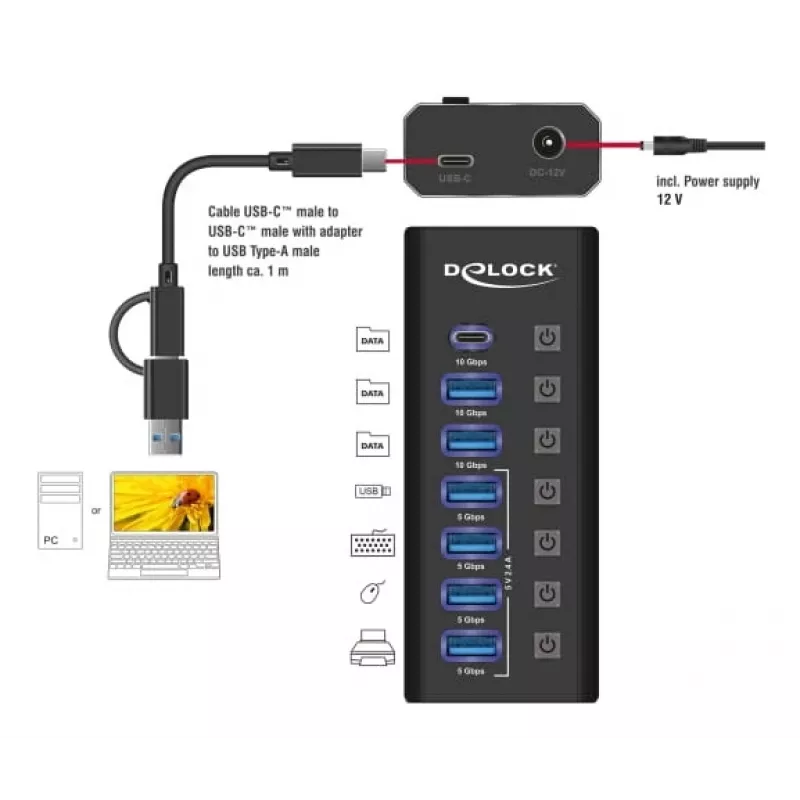 DeLOCK 64326 Interface Hub USB 3.2 Gen 2 (3.1 Gen 2) Type-C 10000 Mbit/s Schwarz