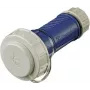 Kupplung Schuko 10833 16A2P+E 230V DWD Blau (10833)