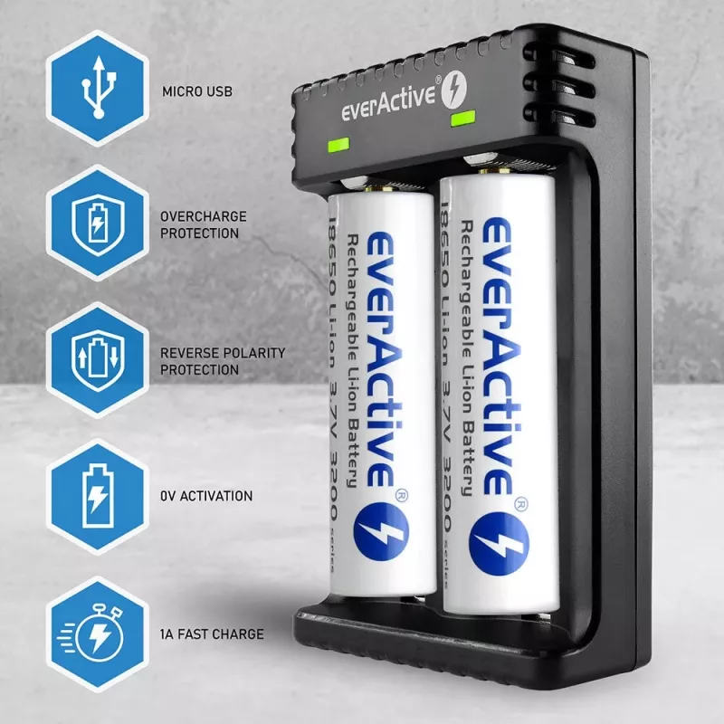 Batterieladegerät everActive LC200 Haushalt USB, 2-Schacht, Li-Ion, unterstützt A/AA/AAA/AAAA/C/D, 5 V Eingang, 4,2 V Ausgang, schwarz