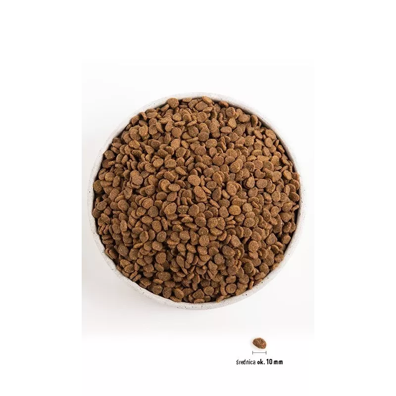 ORIJEN Cat Original - Trockenfutter für Katzen - 1,8 kg