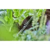 Hose Holder Gardena 13208-20 Schwarz Ground Placement