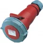MENNEKES Elektrotechnik GmbH & Co. KG 32A5P 6H400V Kupplung 562** AM-TOP IP67 (562)
