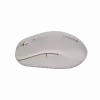 Canyon Maus MW-12 Dualband kabellos Beige - Maus - 2.400 dpi (CNS-CMSW12BG)