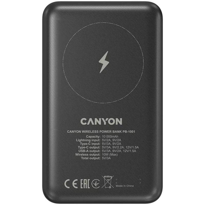 Tragbare Powerbank Canyon PB-1001 10000 mAh