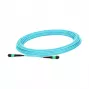 InfiniBand/Glasfaserkabel NVIDIA MFP7E10-N035, MPO auf MPO, 35 m, blau