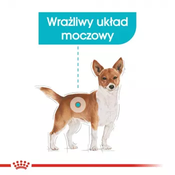 Trockenfutter für Hunde Royal Canin Mini Urinary Care 3 kg — kleine Rassen, Geflügel, 27 % Protein, 16 % Fett