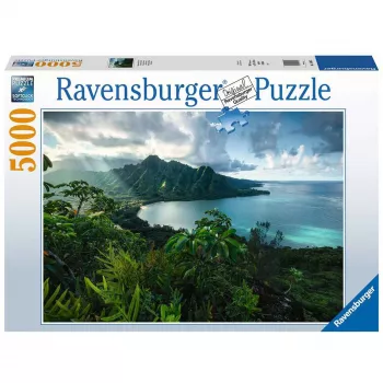 Konturpuzzle Ravensburger 16106 5000 Stück Flora