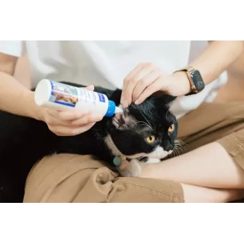 Ohrreinigungslösung VIRBAC EPI-OTIC S-I-S für Hunde und Katzen 60 ml