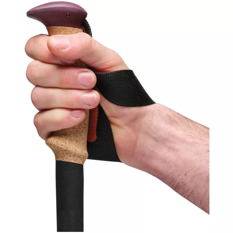 Schwarz Diamond Trail Cork Trekking Poles Fig