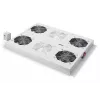 Digitus DN-19 FAN-4-SRV Produkt Grau