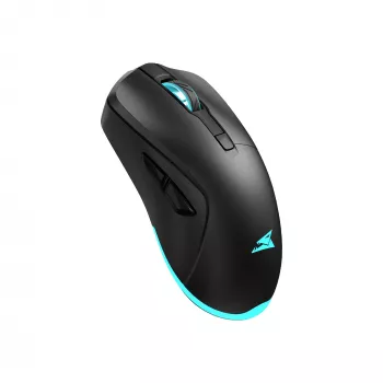 Maus Baracuda BGM-121 Turtle Schwarz USB
