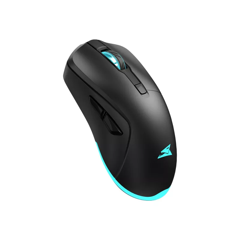 Maus Baracuda BGM-121 Turtle Schwarz USB