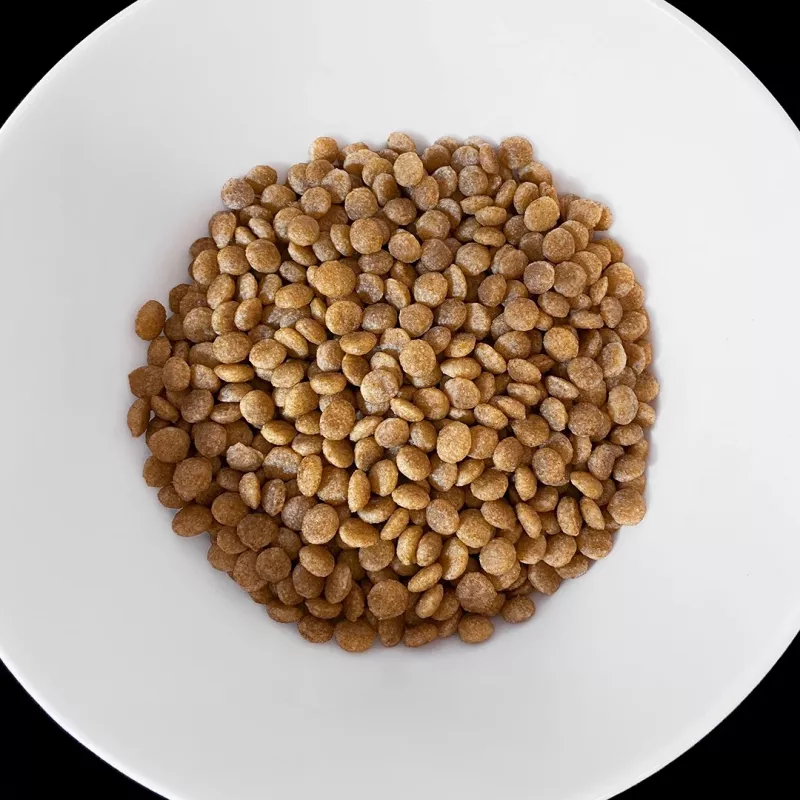 VET RESPONSE Hypoallergenic - Trockenfutter für Katzen - 1,6 kg