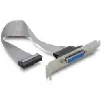 SATA-Kabel DeLOCK 84300 0,22 m Buchse/Buchse
