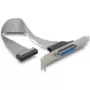 SATA-Kabel DeLOCK 84300 0,22 m Buchse/Buchse