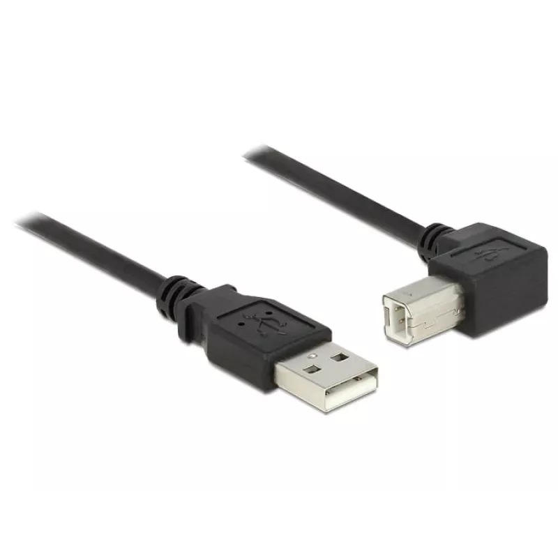 USB-Kabel DeLOCK 2m USB 2.0 USB A USB B Schwarz