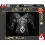 Ashley Rader: Dominance - Widder, Im Zeichen des Feuers, Puzzle 1000 Teile