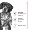 ROYAL CANIN SHN Medium Adult Laib Dose 410g