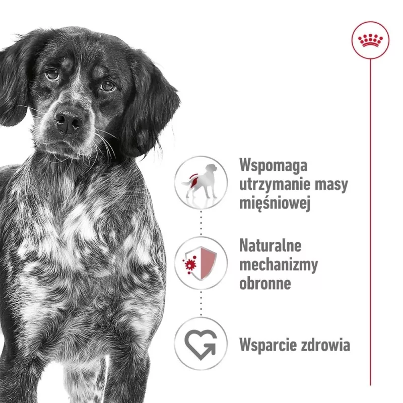 ROYAL CANIN SHN Medium Adult Laib Dose 410g