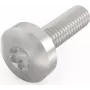 Schroff Pentair Techn. Schraube 24560-130 VE100 (24560130)