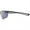 Alpina Nylos HR Sonnenbrille Kat. 3 Grau