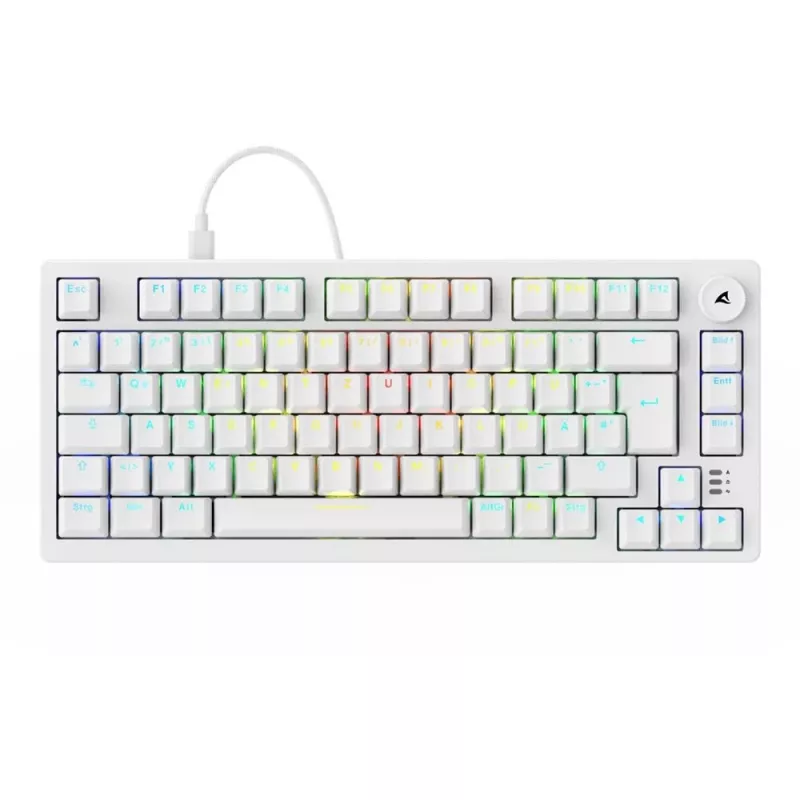 Sharkoon SGK25 75% QWERTZ USB kabelgebundene RGB LED Tastatur weiß