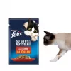 Nassfutter für Katzen Purina Felix proteinreich 100 g Beutel — Geschmack Fisch & Huhn, ausgewachsene Katzen, Packung mit 120