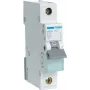 Leitungsschutzschalter Hager MBN110 1P, 10 A, 50–60 Hz