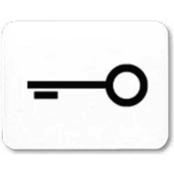 JUNG 33 T WW Symbol aws door