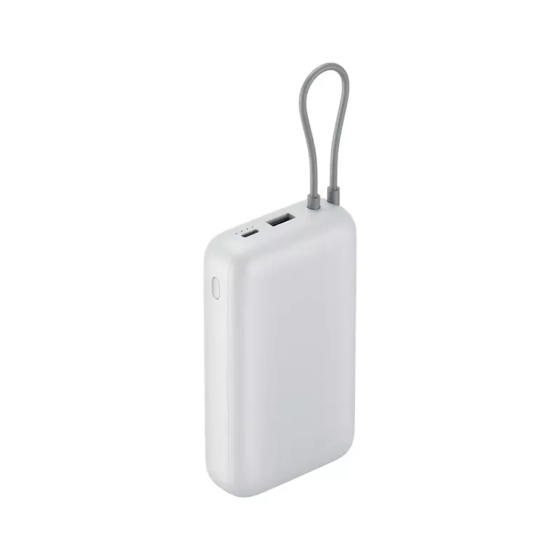 Tragbares Ladegerät Xiaomi Power Bank 20000mAh — Hochleistungs-Powerbank, dualer USB-Ausgang