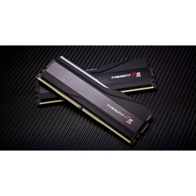 G.skill F5-6800J3446F24GX2-TZ5RK Speichermodul