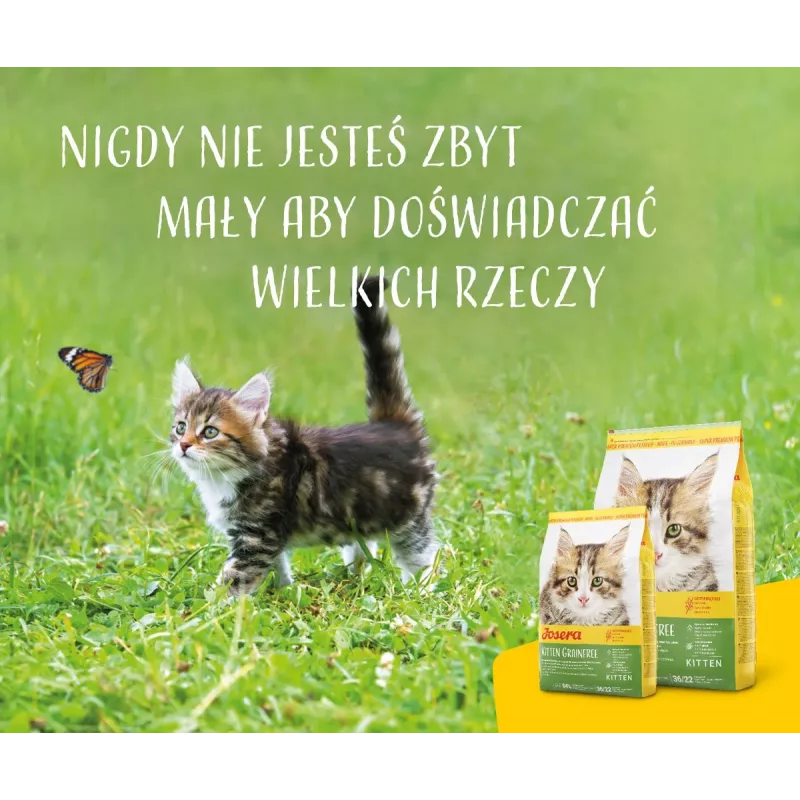 Trockenfutter für Katzen Josera Kitten Geflügel 2 kg