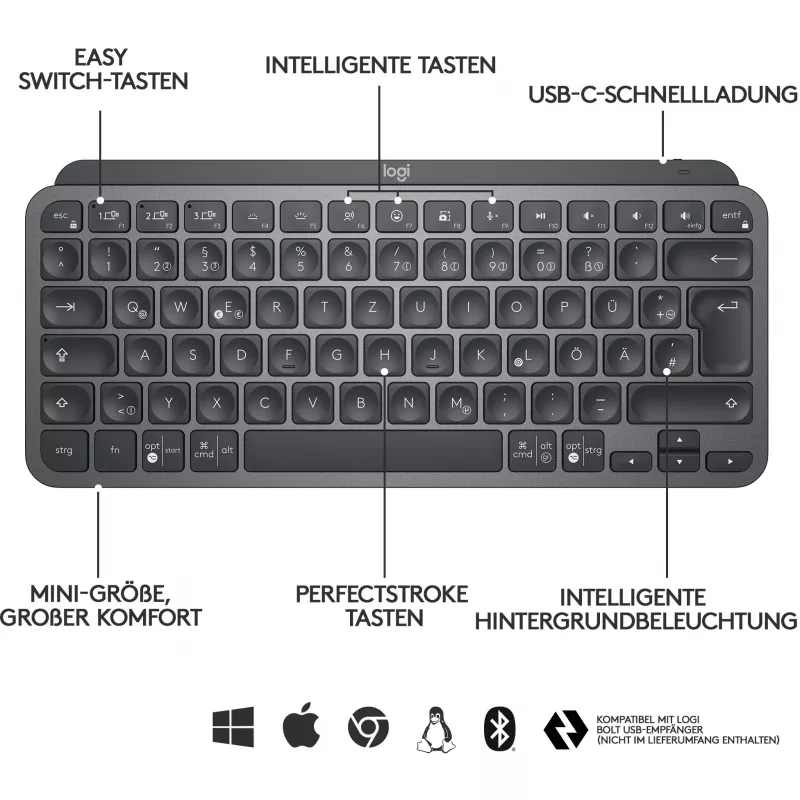 Logitech MX Keys Mini - Tastatur - hintergrundbeleuchtet - Bluetooth - QWERTZ - Schweizer Layout - Graphite (920-010485)