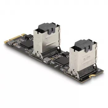 DeLOCK Konverter M.2 2280 Key B+M Stecker auf 8 x SATA