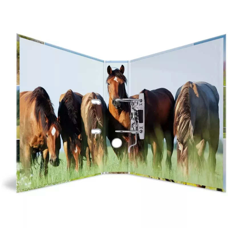 Ringbuch HERMA 19251 A4 Mehrfarbig D-Ring-Aufbewahrung 285x315mm