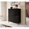 Shelving unit ABETO 100.5 x 40 x 121.5 cm schwarz/glänzend schwarz