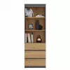 Büroregal Top e shop RS-60 ANT/ART KPL — 3 Einlegeböden, Spanplatte, 600×350×1800 mm