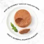 Nassfutter für Katzen Multipack Purina Nestlé Gourmet Gold Mus Mix 48×85 g Dosen Sorten-Mix