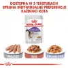 ROYAL CANIN FHN Sterilised in Soße – Nassfutter für ausgewachsene Katzen – 12x85g