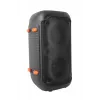 Esperanza EP156 BT FM LED RGB KARAOKE Lautsprecher Schwarz 20W