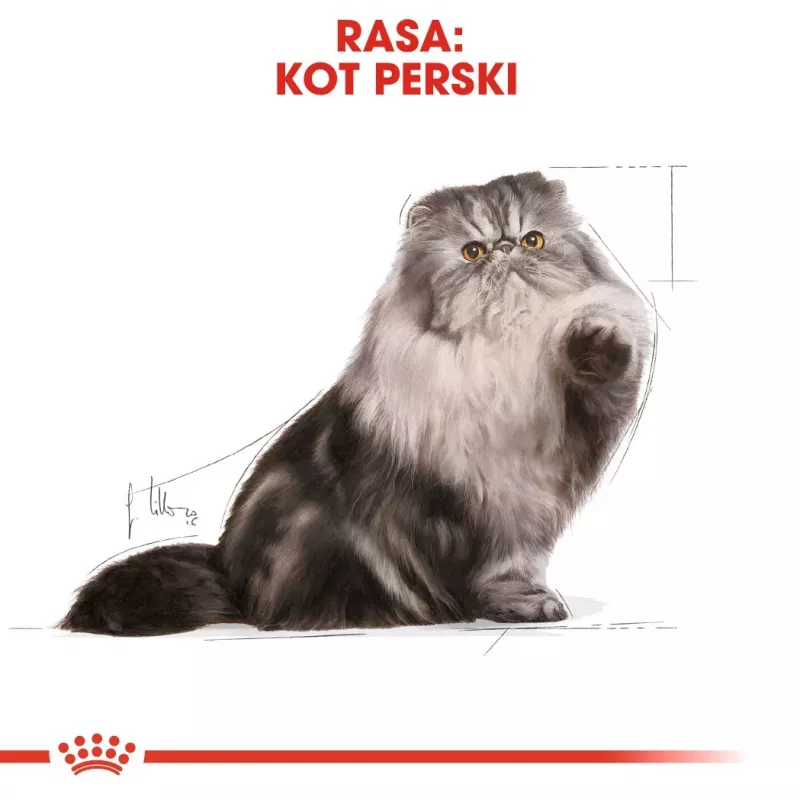 Trockenfutter für Katzen Royal Canin Persian 4 kg — ausgewachsene Perserkatze, Huhn, 30 % Protein, 22 % Fett