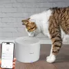Tellur TLL331471 Haustier-Wasserspender 2L Weiß – automatischer 2-Liter-Trinknapf für Katzen und kleine Hunde