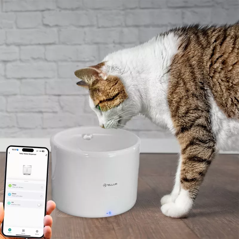 Tellur TLL331471 Haustier-Wasserspender 2L Weiß – automatischer 2-Liter-Trinknapf für Katzen und kleine Hunde
