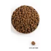 Orijen Regional Rot 2 kg Adult Rind, Lamm, Schwein