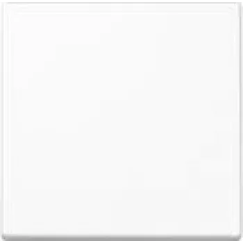 JUNG A1700BFWW A1700BFWW Wippe Standard (A1700BFWW)