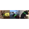 LED-Halsband Anicoll Grün für Hunde und Katzen Modell wiederaufladbare Beleuchtung